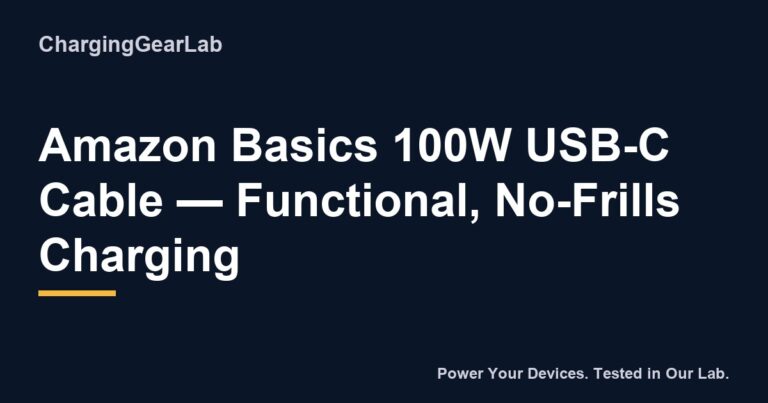 171 Amazon Basics 100W Usb C Cable