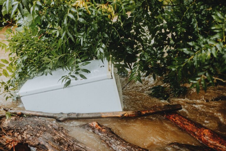 Anker 737 vs. EcoFlow River 2: Which Portable Power Station is Best for Emergencies?