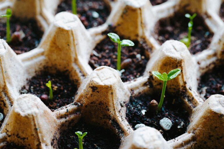 A clean product photo illustrating start composting beginners step by step.